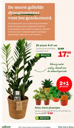 Welkoop folder - Voorbeeld van een folder van Welkoop, geldig van 25.05.2026 | Pagina: 17 | Producten: Festék