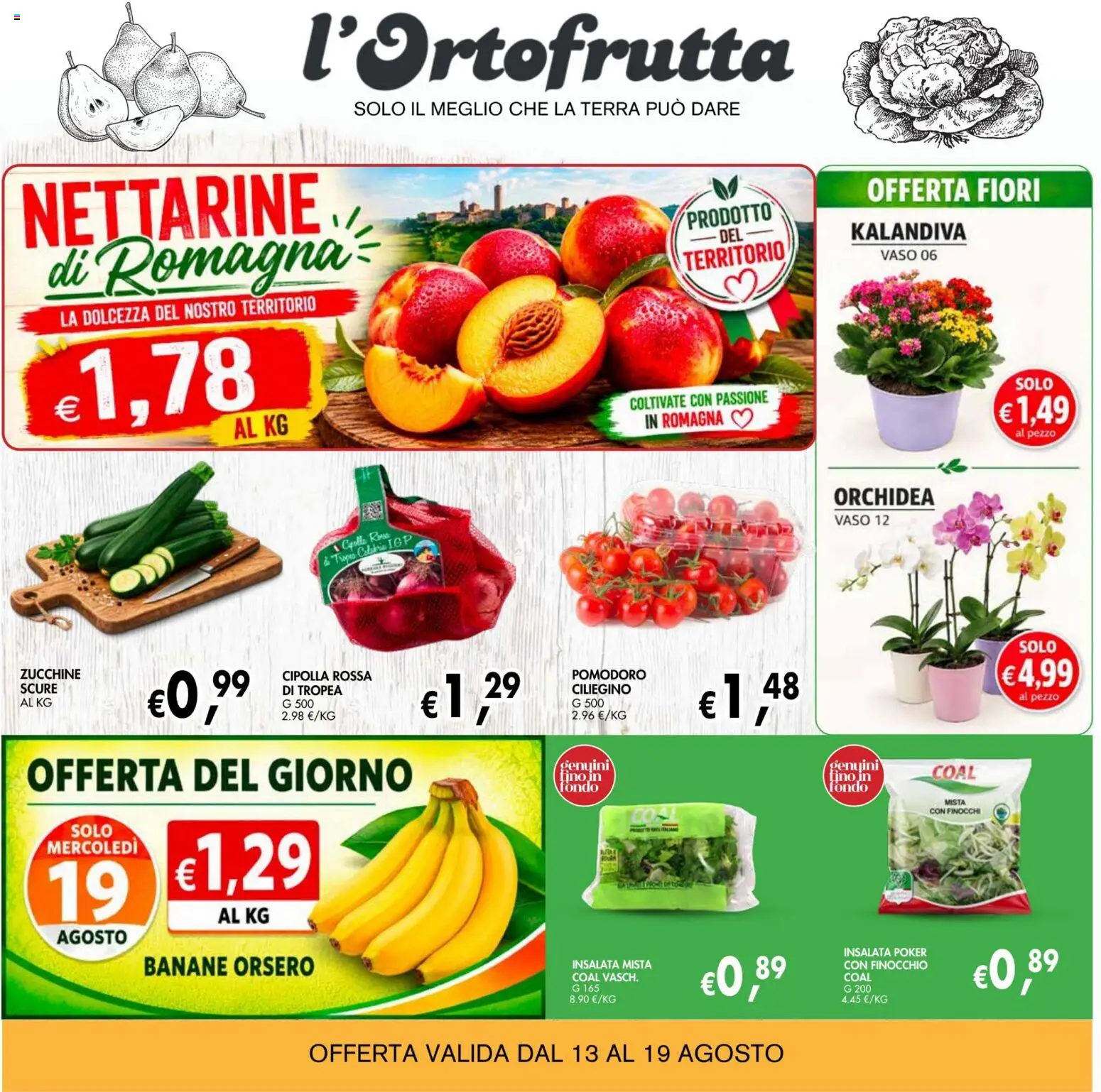 Volantino Coal del 13/08/2026 | Pagina: 2 | Prodotti: Insalata, Pomodoro, Cipolla rossa, Finocchi