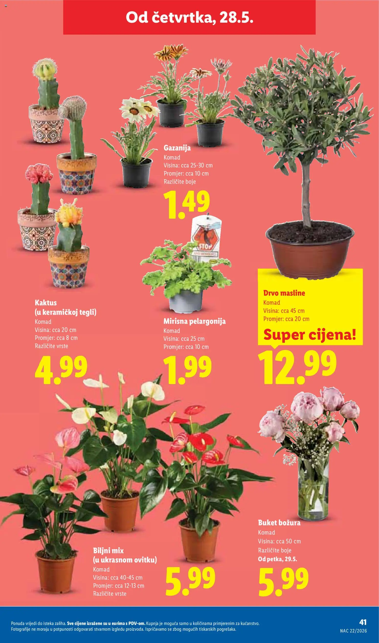 Lidl katalog | vrijedi od 25.05.2026 | Stranica: 41 | Proizvodi: Masline