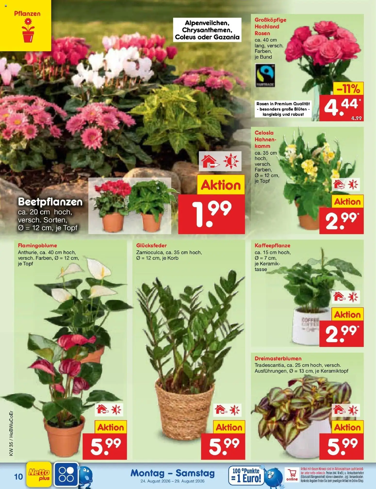 Netto Marken-Discount Prospekt Naumburg (ab 24.08.2026) » Angebote | Seite: 14 | Produkte: Korb