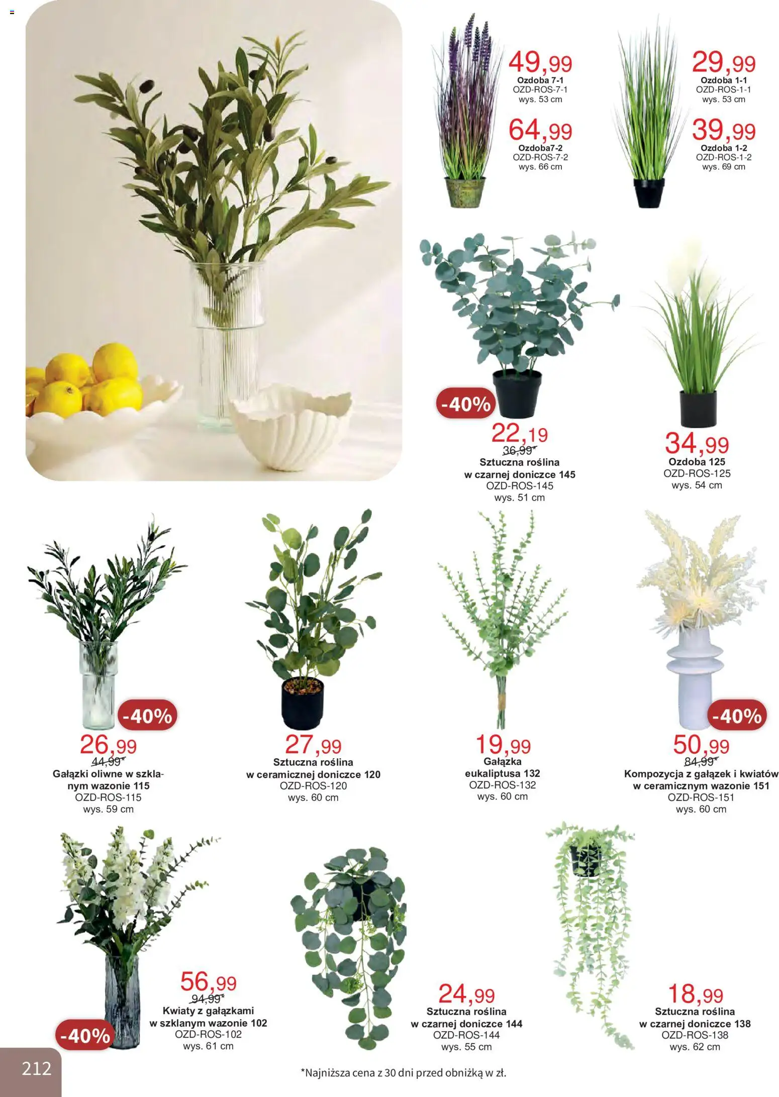 Bodzio Katalog od 01.10.2026 | Strona: 212 | Produkty: Kwiaty