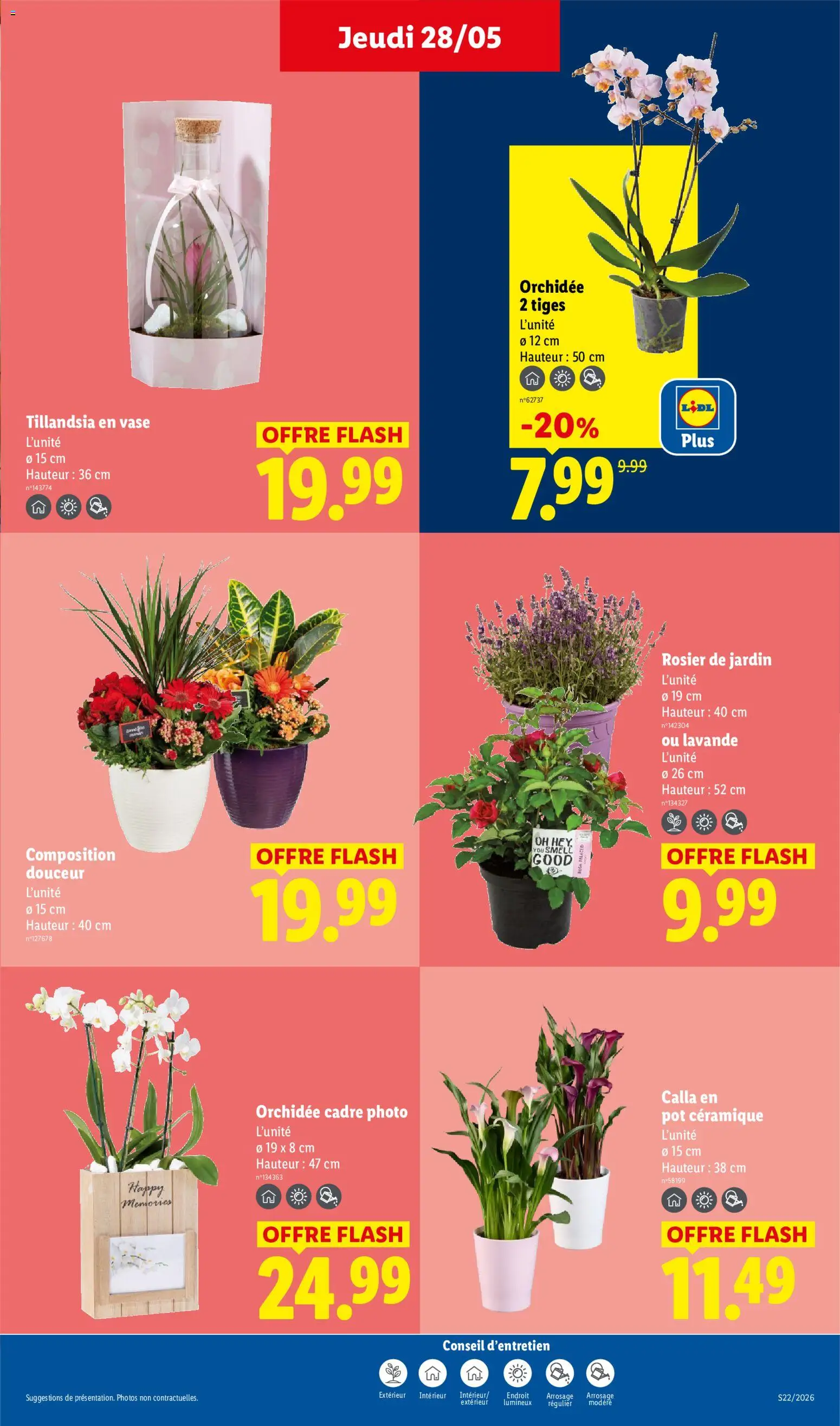 {H1} | Page: 27 | Produits: Rosier, Lavande, Orchidée, Cadre