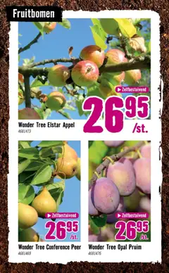Hornbach folder - Voorbeeld van een folder van Hornbach, geldig van 06.04.2026 | Pagina: 24 | Producten: Appel, Peer, Pruim