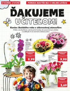Kaufland leták platný od 25.06.2026 | Strana: 48 | Produkty: Orchidea