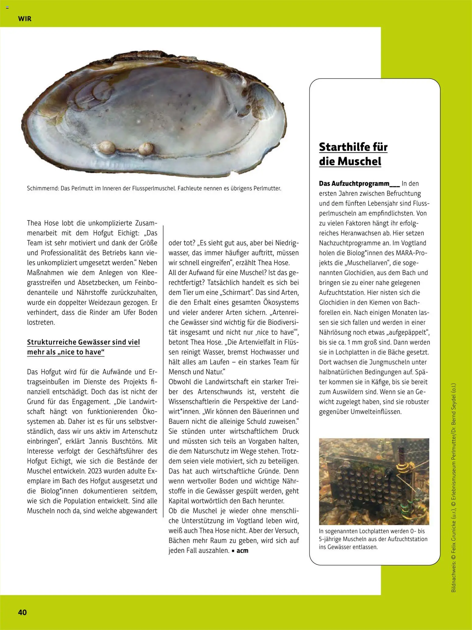Denns BioMarkt Kreo Magazin – gültig ab 17.07.2026 | Seite: 40 | Produkte: Hose