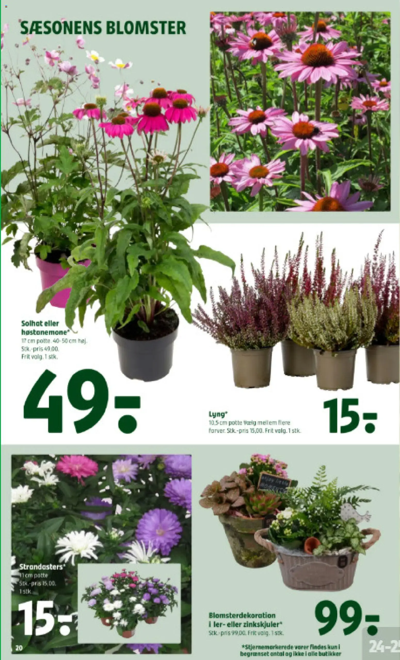 Coop 365 tilbudsavis – gyldig fra 20/08/2026 | Side: 24