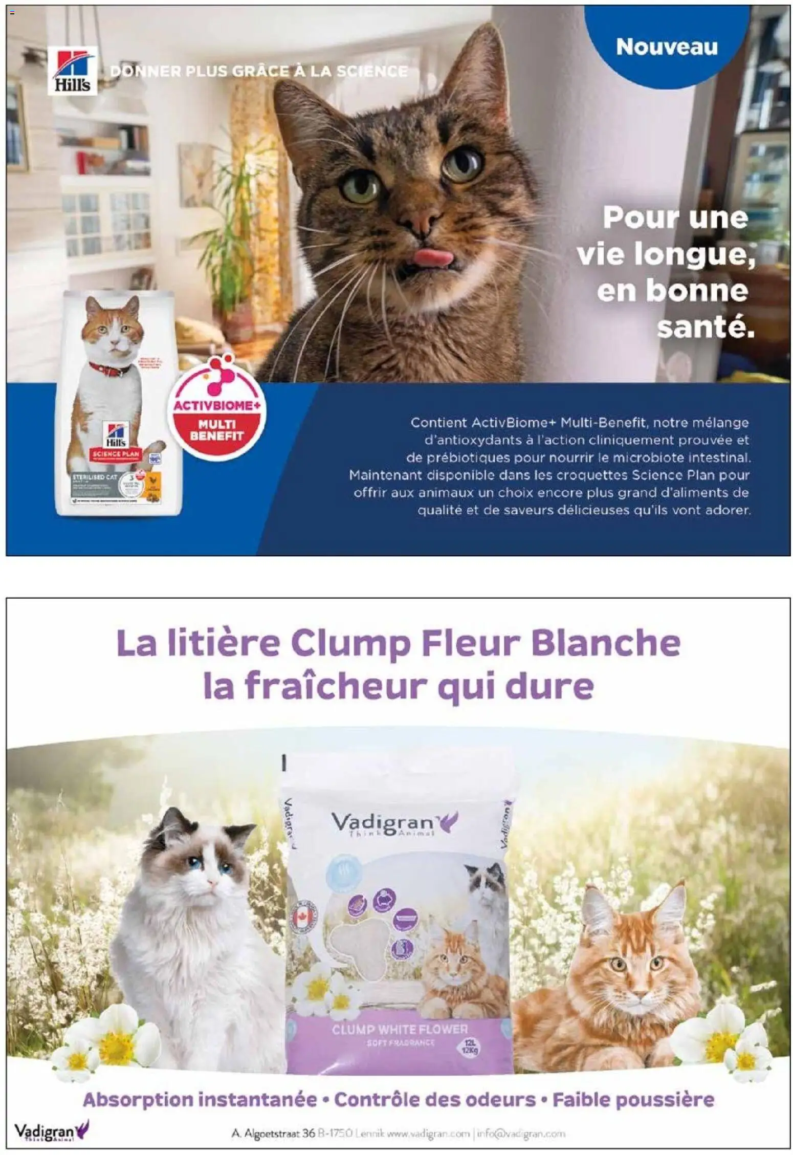 {H1} | Page: 10 | Produits: Litière