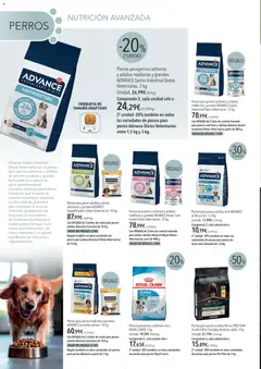 Vista previa El Corte Inglés ofertas válido desde el 01/08/2026 | Página: 6 | Productos: Omega, Omega 3, Trucha, Arroz