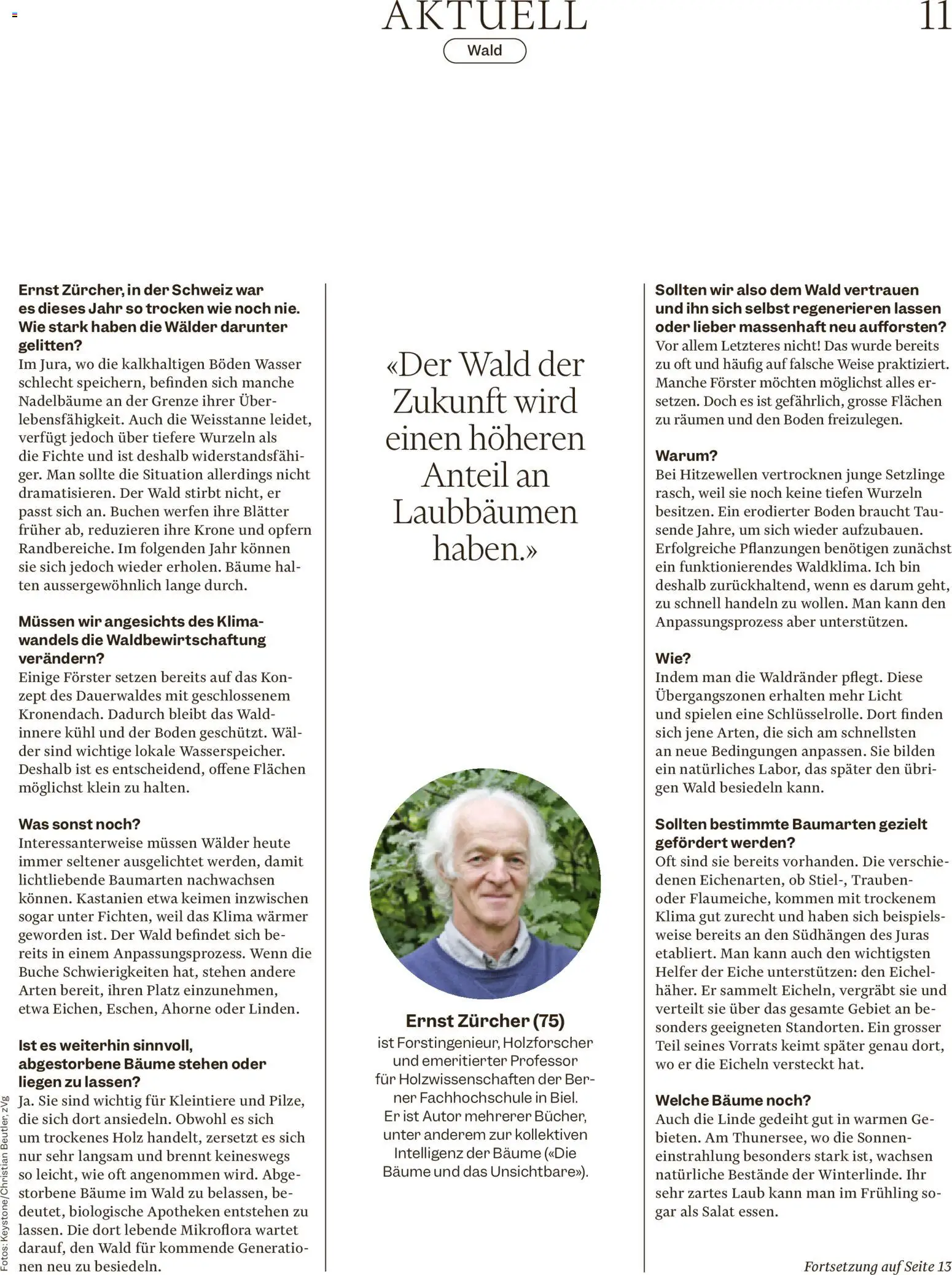 Migros aktionen Magazin – gültig ab 16.09.2026 | Seite: 11 | Produkte: Bilden, Salat, Wasser