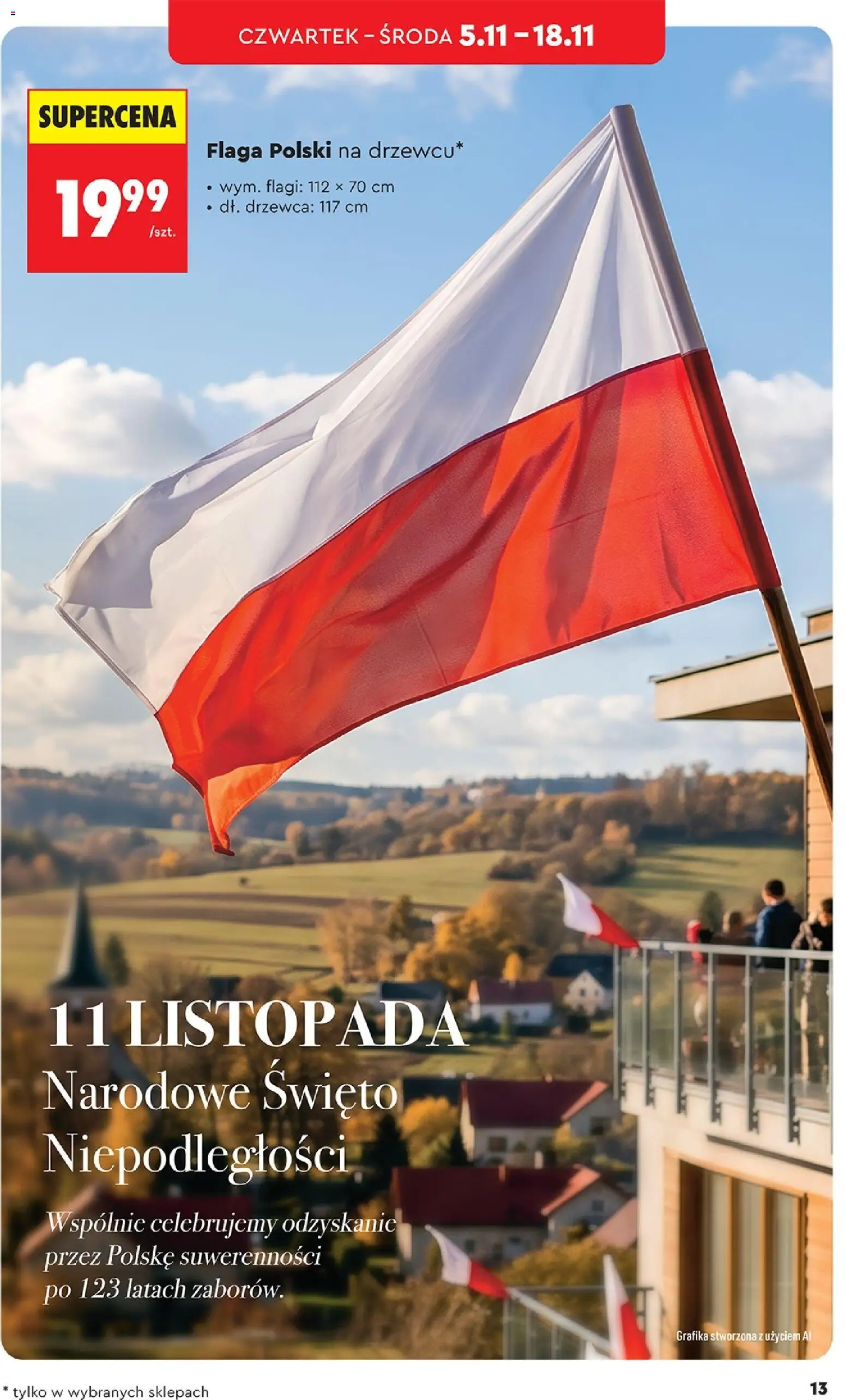 Biedronka Black Friday od 31.10.2026 | Strona: 13