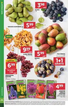 Pogląd oferty "Stokrotka gazetka" - ważna od 24.09.2026 | Strona: 14
