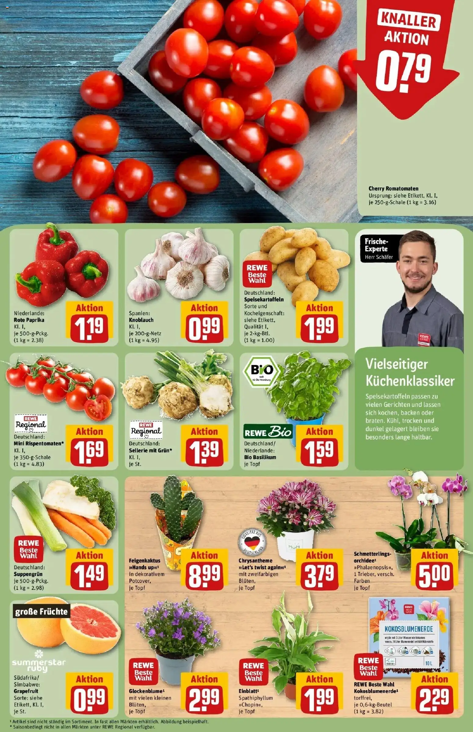 REWE Prospekt ab 10.08.2026 zum Blättern » Angebote | Seite: 5 | Produkte: Blumenerde, Wasser, Knoblauch, Rote Paprika