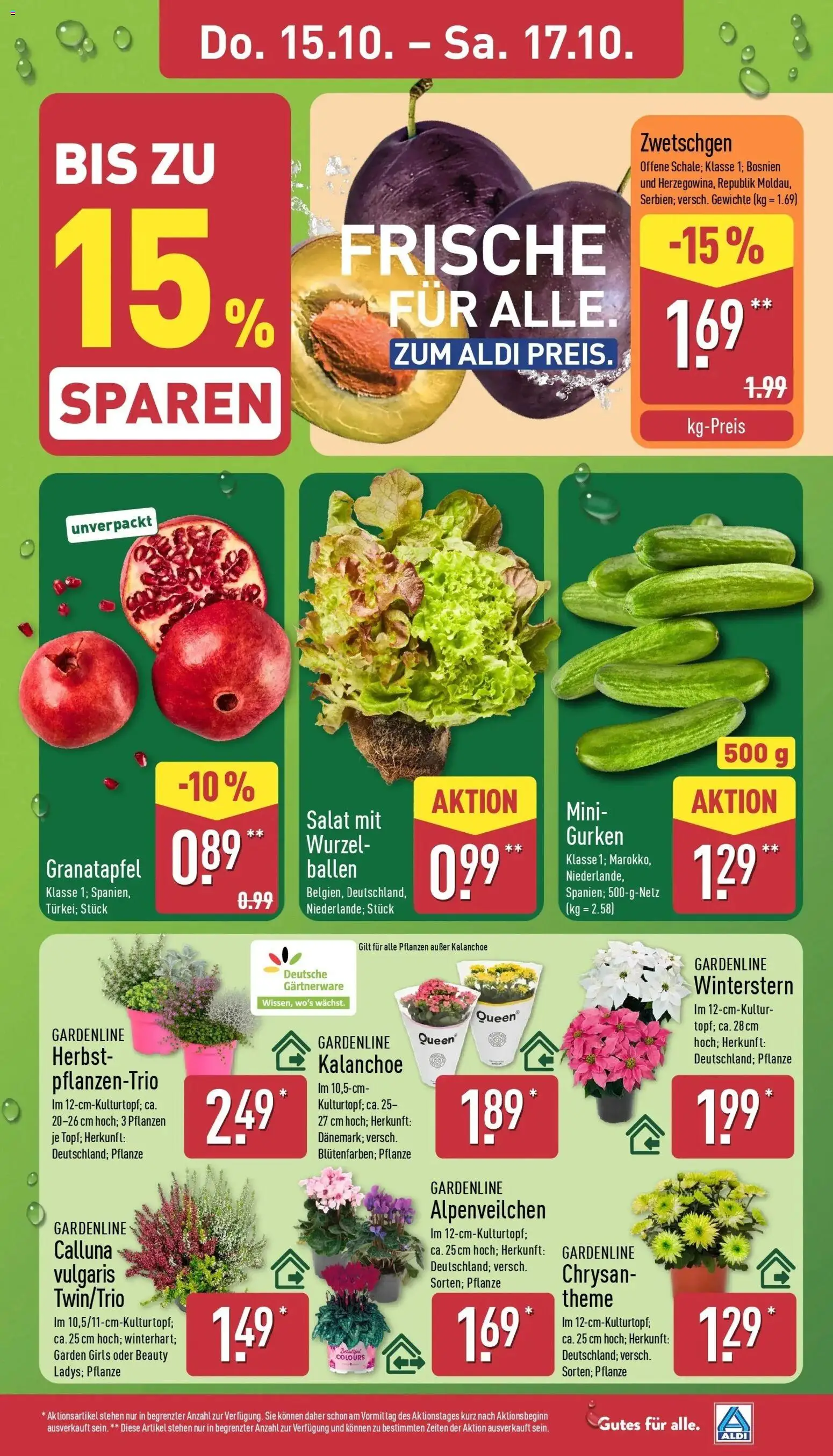 Aldi Aktueller Prospekt (ab 12.10.2026) » Angebote Online | Seite: 29 | Produkte: Granatapfel, Zwetschgen, Gurken, Salat
