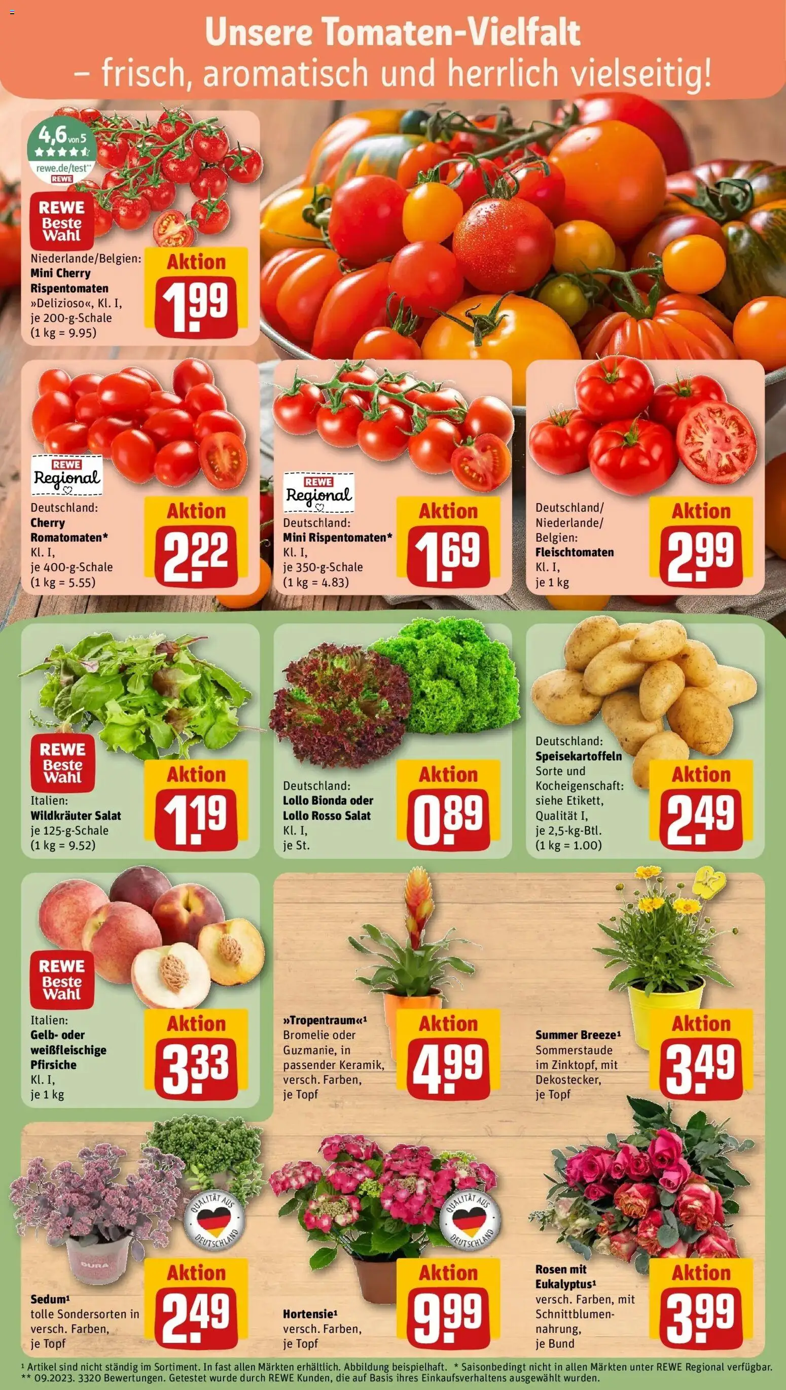 Rewe Prospekt Schmalkalden – gültig ab 13.07.2026 | Seite: 7 | Produkte: Salat