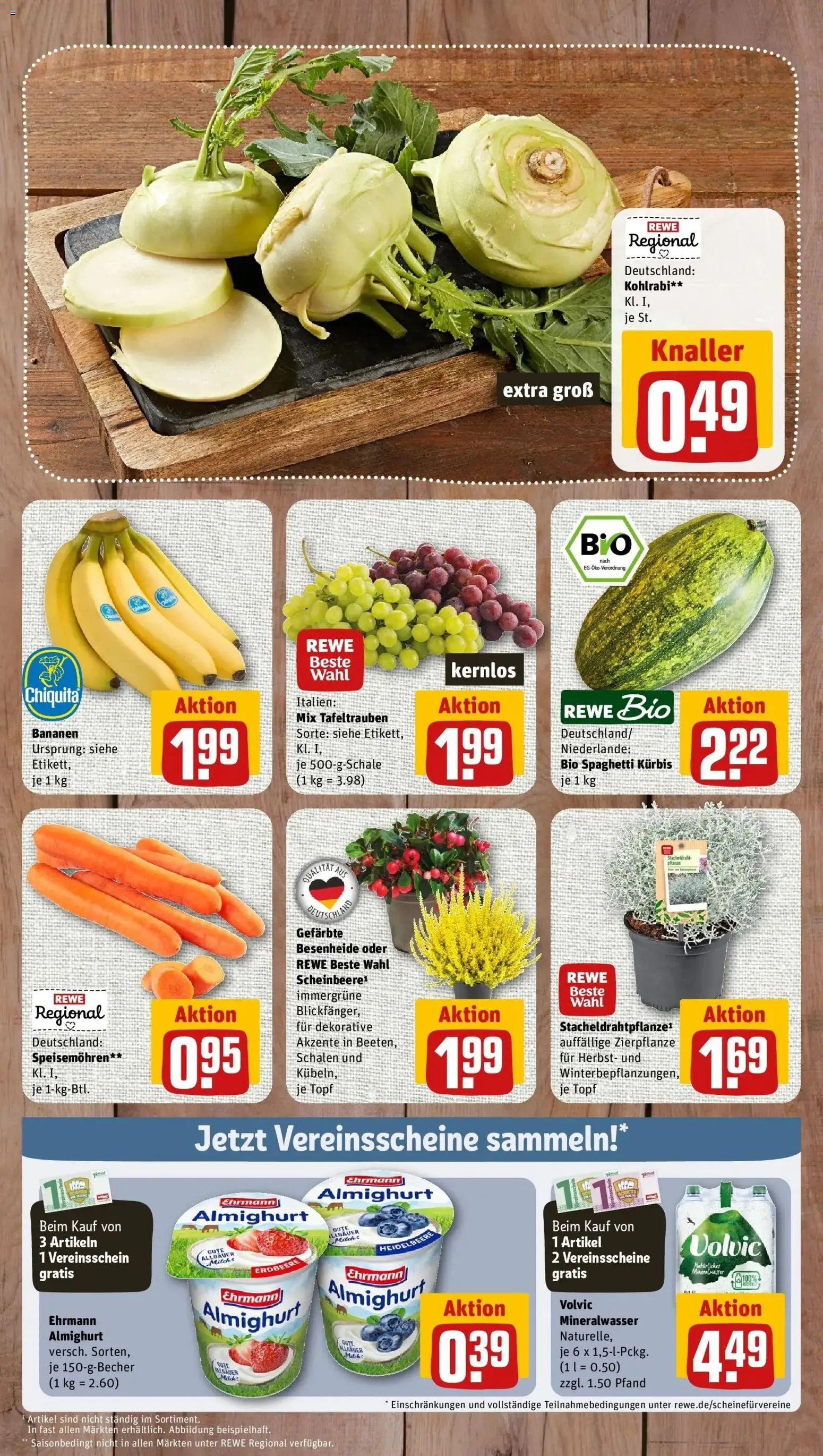 REWE Prospekt ab 14.09.2026 zum Blättern » Angebote | Seite: 3 | Produkte: Ehrmann almighurt, Kohlrabi, Kürbis, Volvic