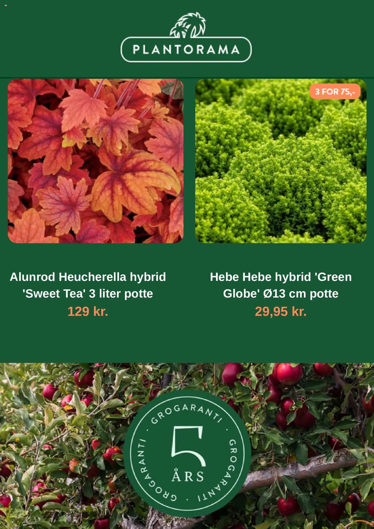 Plantorama tilbudsavis – gyldig fra 19/10/2026 | Side: 2