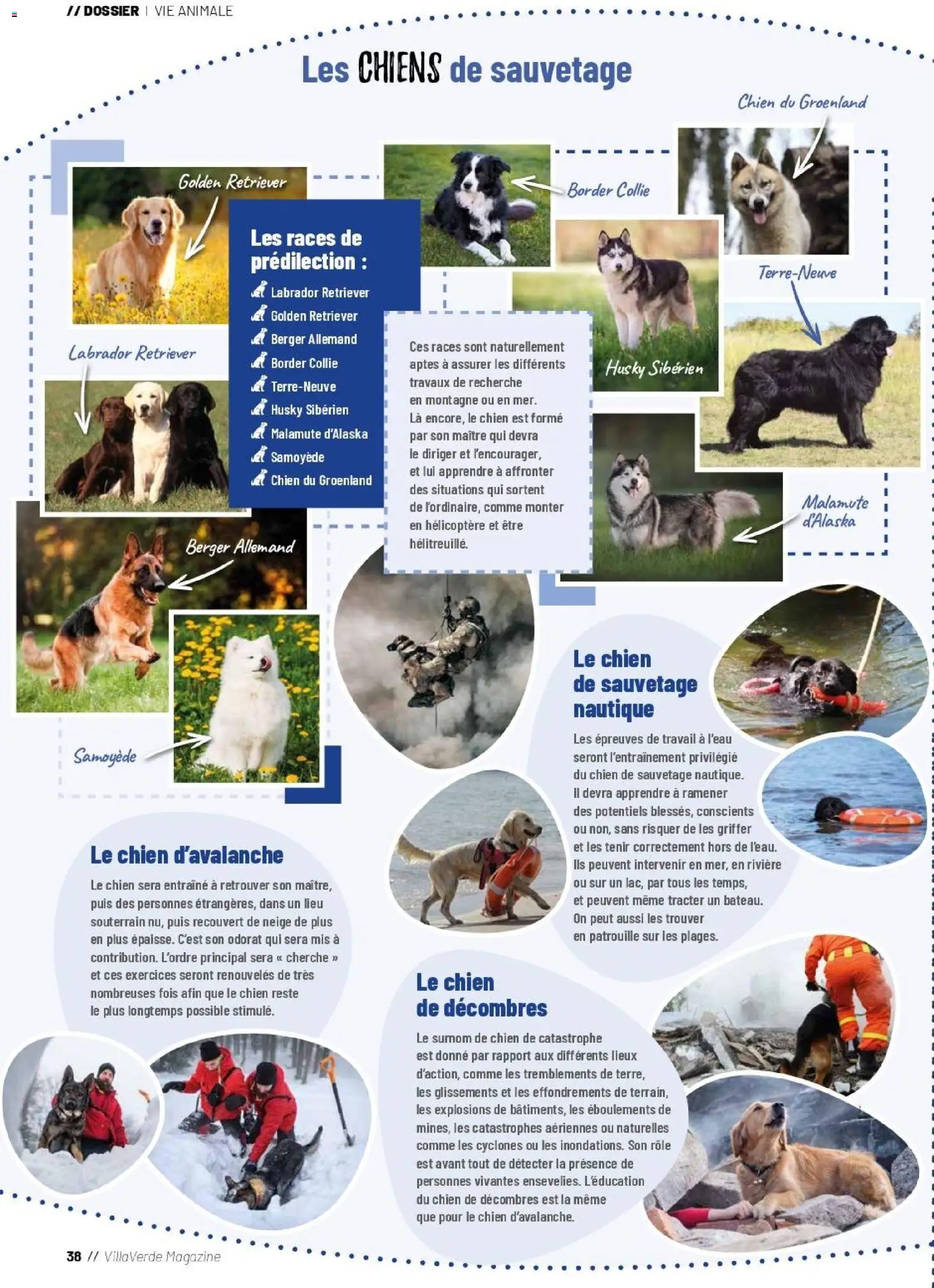 {H1} | Page: 38 | Produits: Magazine