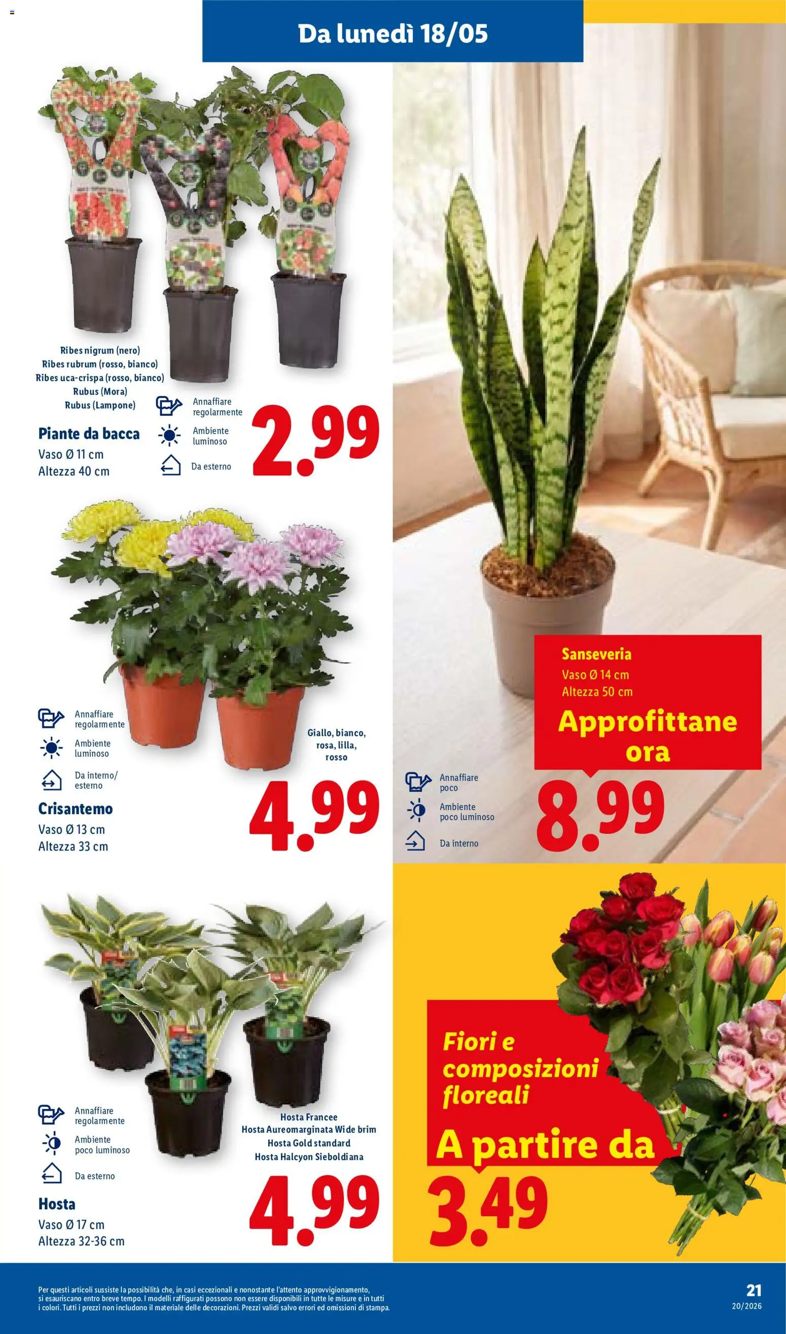 Volantino Lidl del 14.05.2026 | Pagina: 29