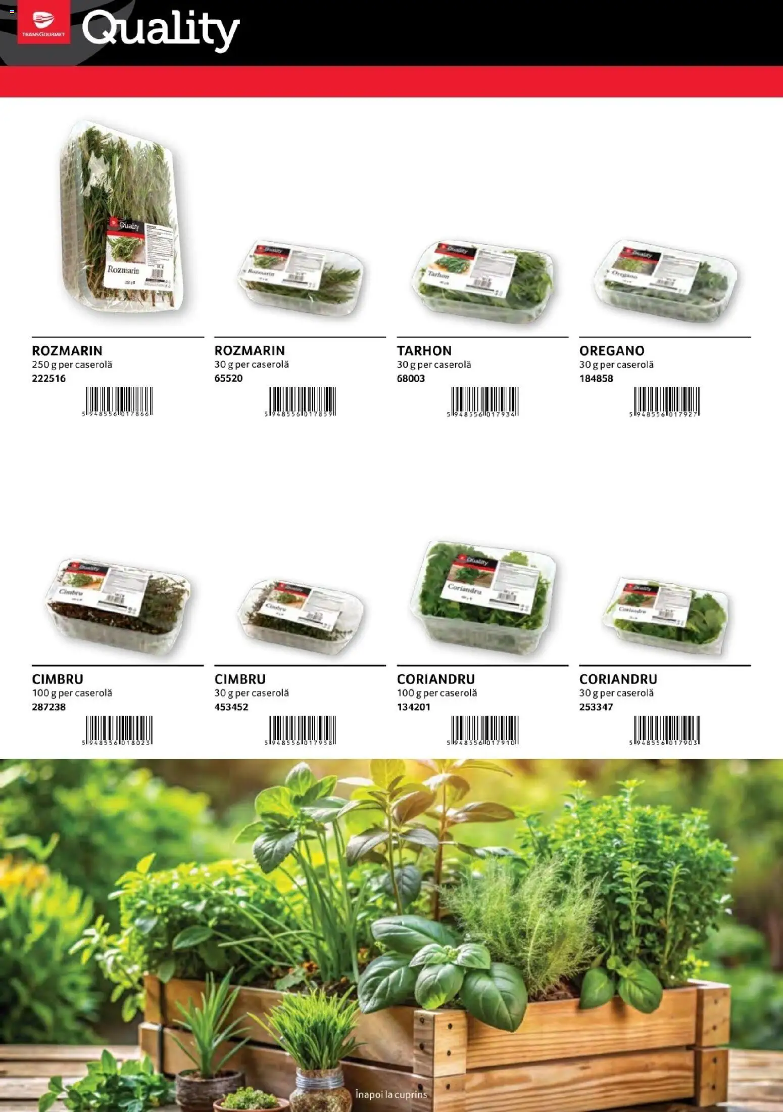 Noul catalog Selgros – valabil de la 01.08.2026 | Pagină: 36 | Produse: Caserola