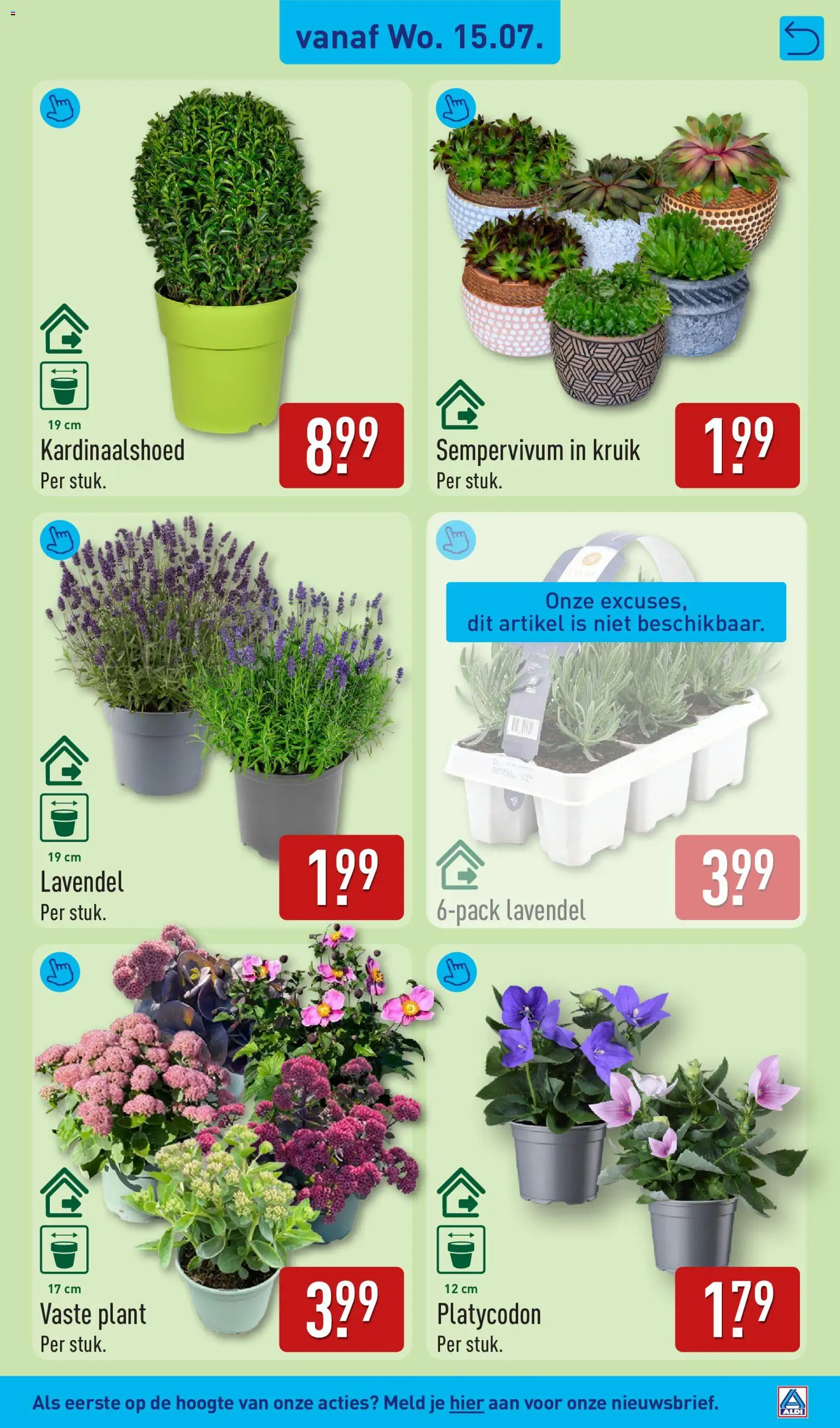 Aldi folder vanaf 13 — page 43