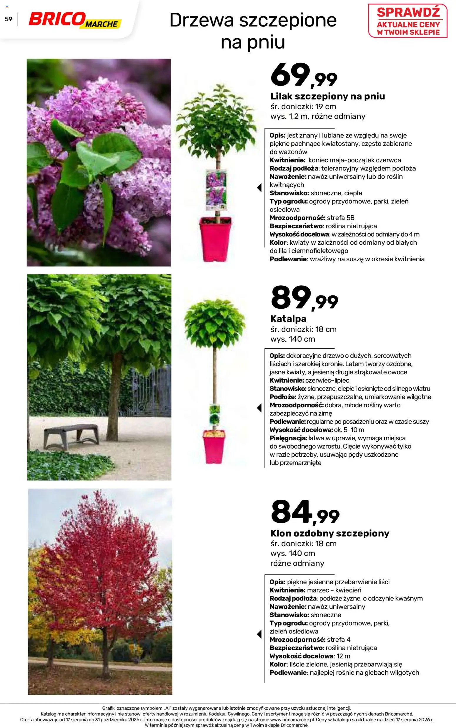 Brico Marché gazetka - Jesienne Inspiracje od 17.08.2026 | Strona: 59 | Produkty: Podłoże, Nawóz, Rosliny, Kwiaty
