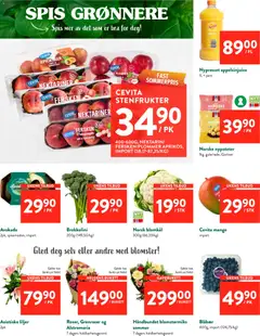 Forhåndsvisning av Jacobs kundeavis gyldig fra 22/06/2026 | Side: 9 | Produkter: Plommer, Fersken, Blåbær, Гриби