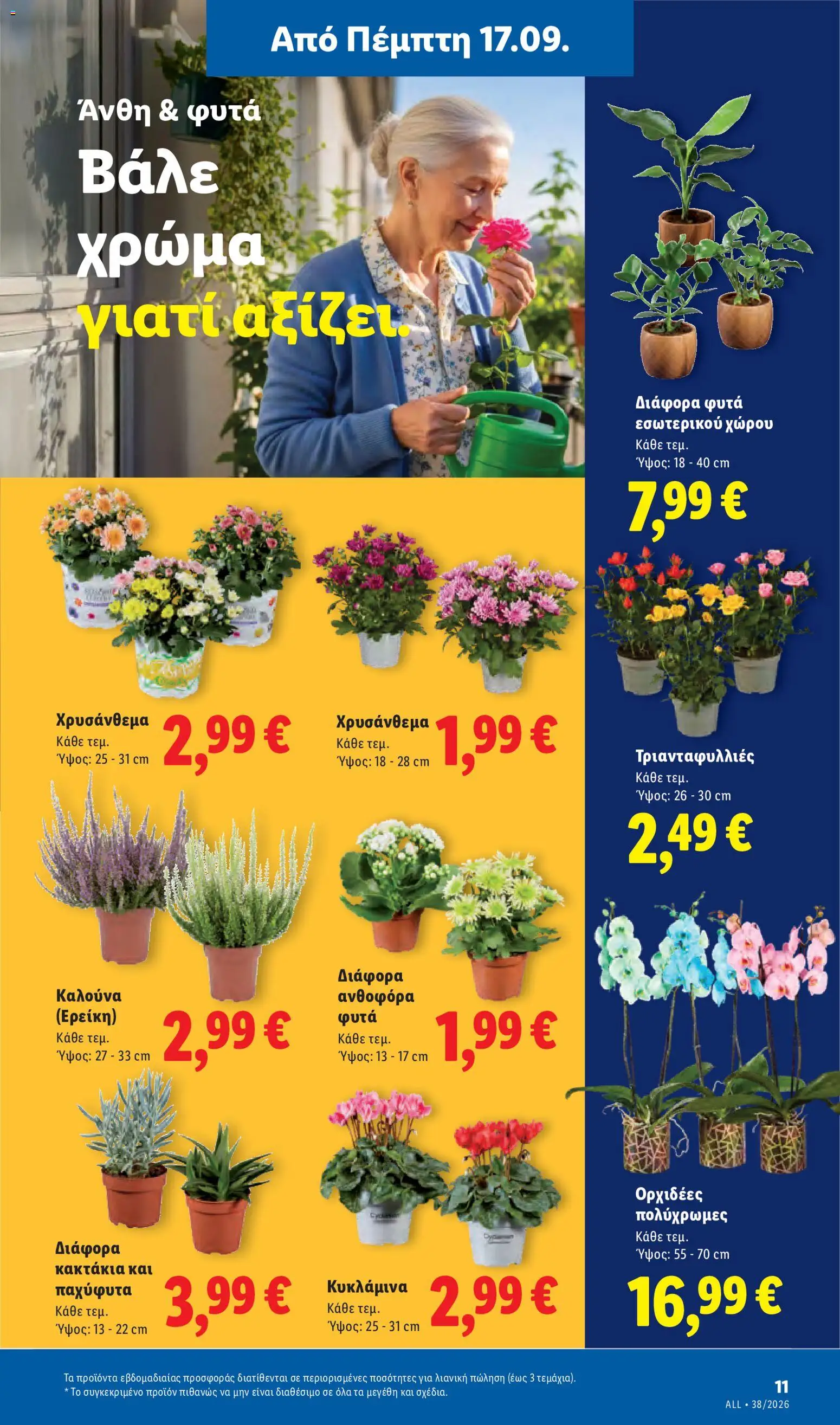 Lidl Φυλλάδιο - σε ισχύ από 17/09/2026 | Σελίδα: 41