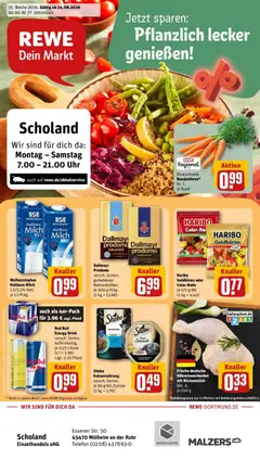 Rewe Prospekt Mülheim An Der Ruhr ab 24.08.2026 gültig