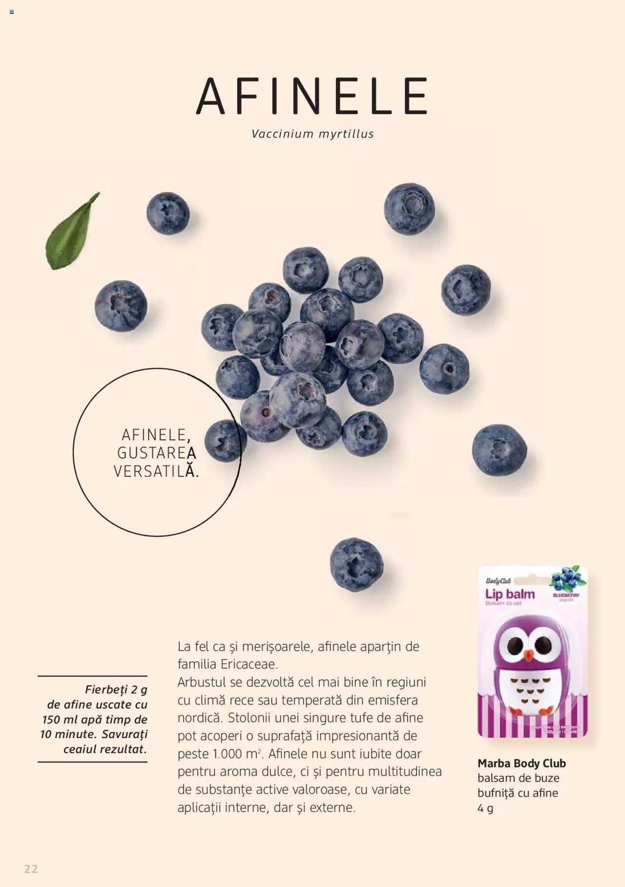 Noul catalog DM drogeriemarkt – valabil de la 01.01.2022 | Pagină: 22