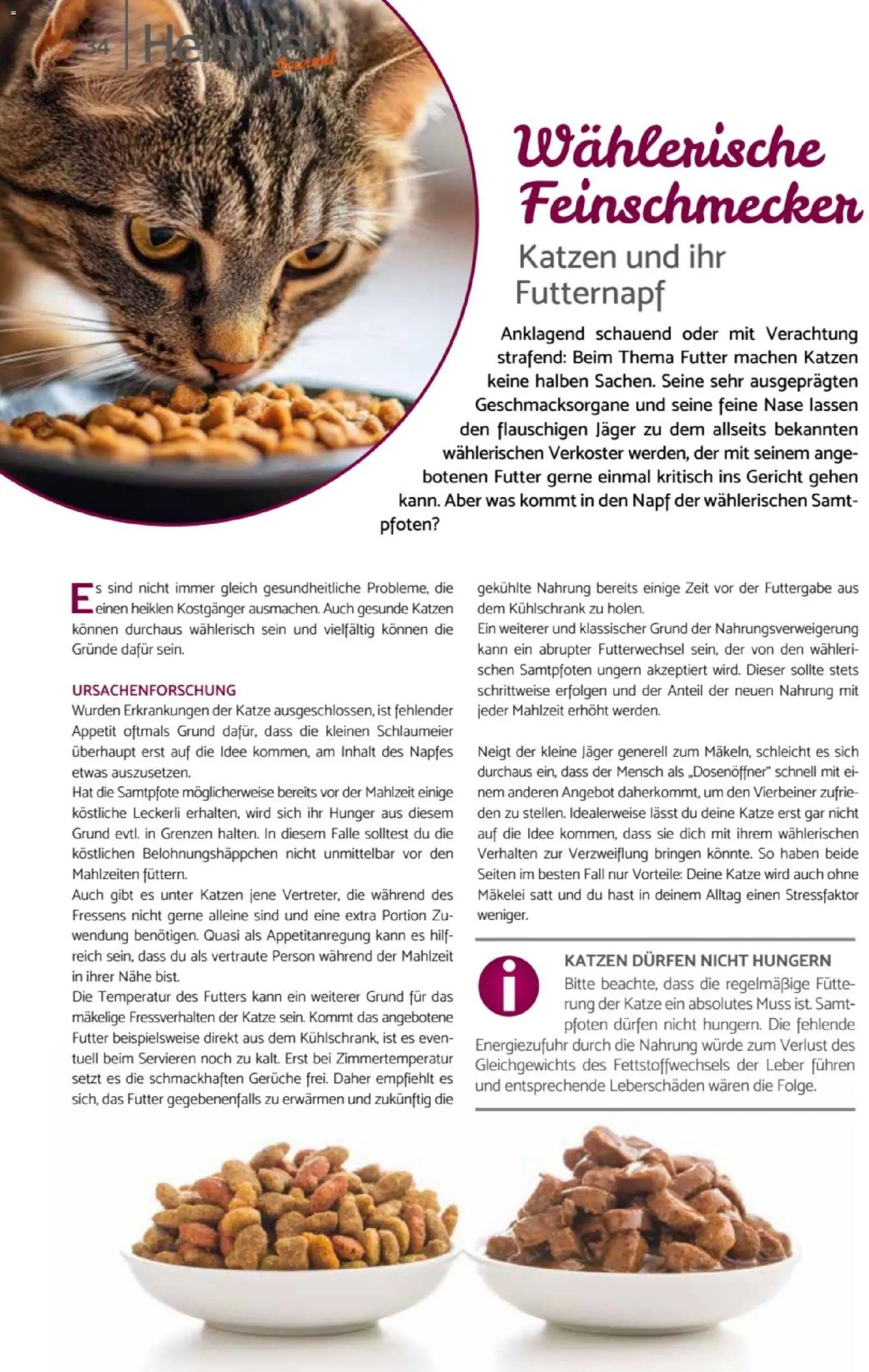 zookauf Heimtier Journal – gültig ab 01.07.2026 | Seite: 34 | Produkte: Kühlschrank