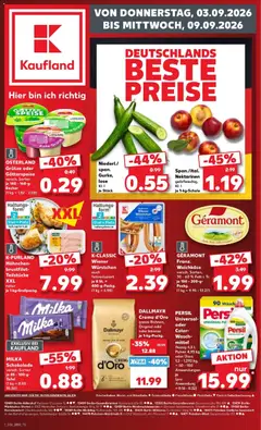 Kaufland Prospekt Potsdam ab 03.09.2026 gültig
