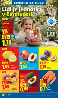 Lidl leták platný od 14.09.2026 | Strana: 14