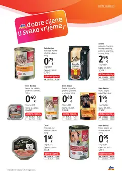 DM Katalog - Pregled kataloga iz trgovine DM, vrijedi od 01.09.2026 | Stranica: 19 | Proizvodi: Teletina, Piletina, Hrana za pse, Perad