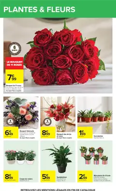 Carrefour - Prévisualisation de Carrefour catalogue valide à partir de 23/06/2026 | Page: 59 | Produits: Lavande, Plantes