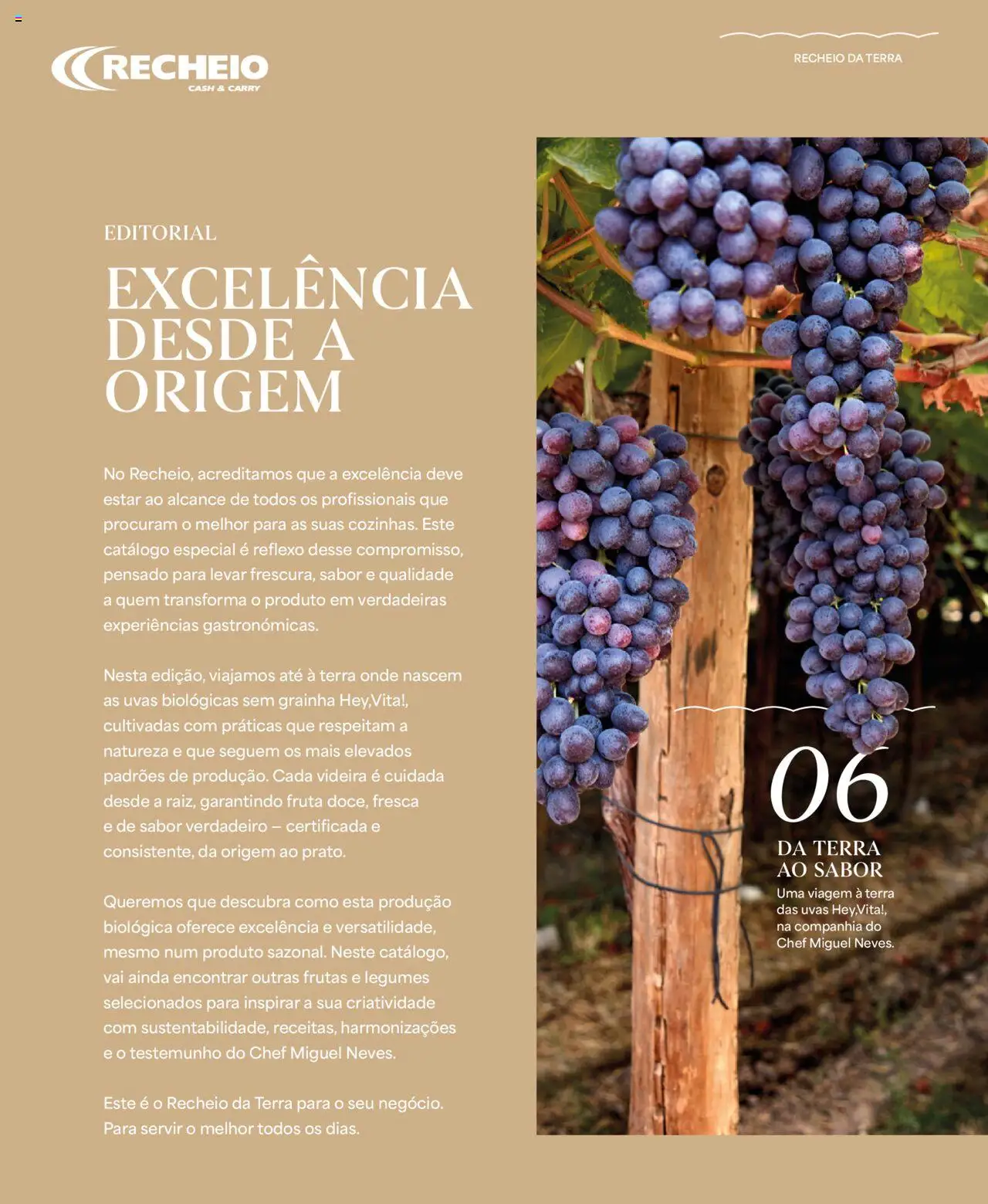 Recheio - Recheio da Terra │ válido de 25/09/2025 | Página: 2 | Produtos: Legumes, Frutas, Uvas