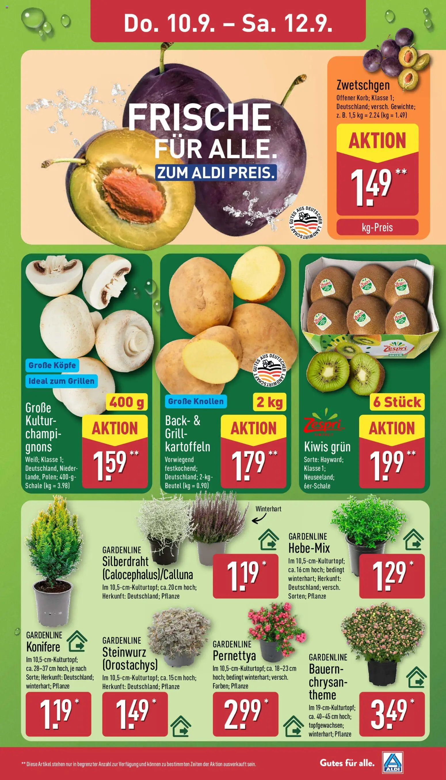 Aldi Prospekt – gültig ab 07.09.2026 | Seite: 27