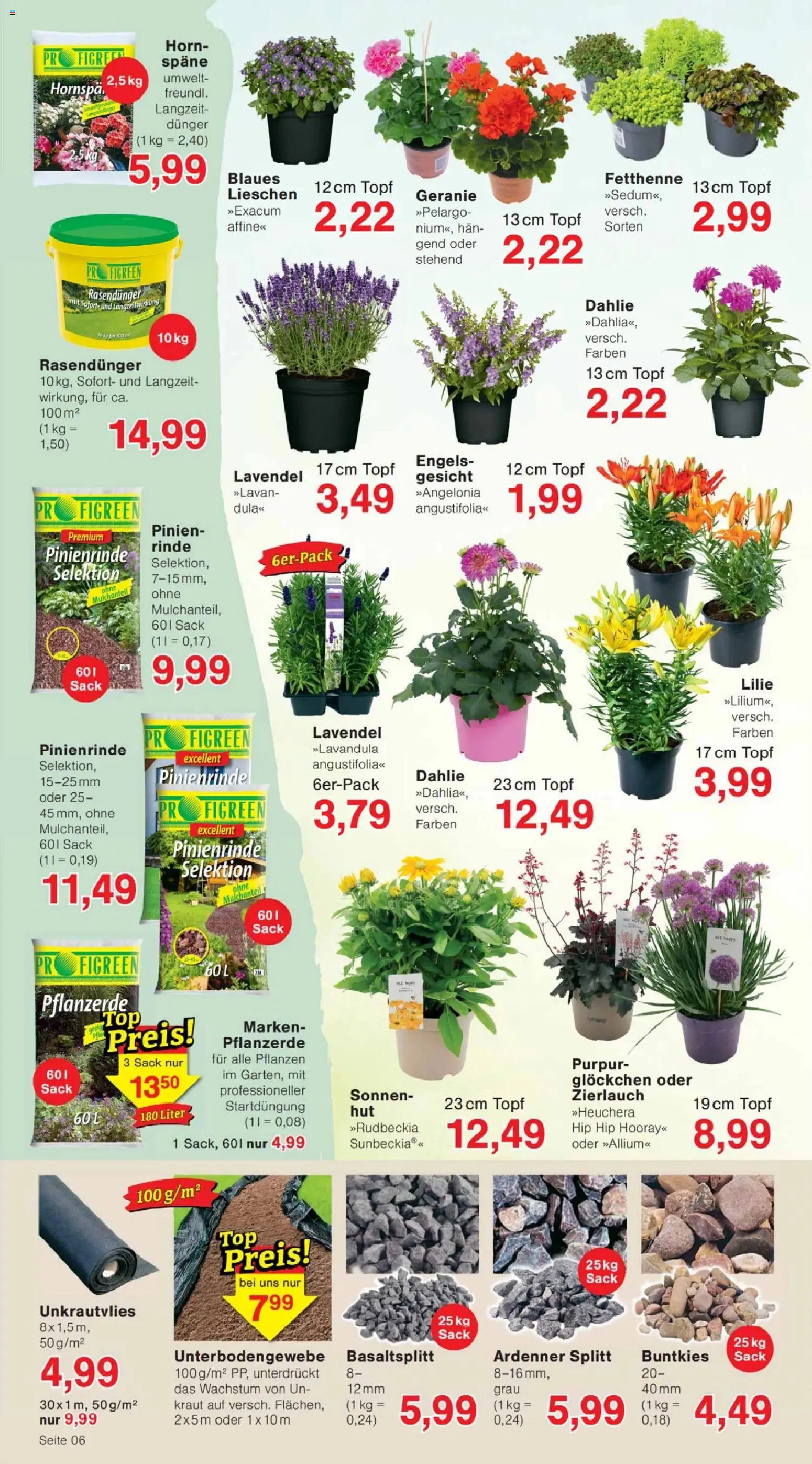 Jawoll Prospekt – gültig ab 15.06.2026 | Seite: 10 | Produkte: Pflanzerde, Kraut, Lavendel