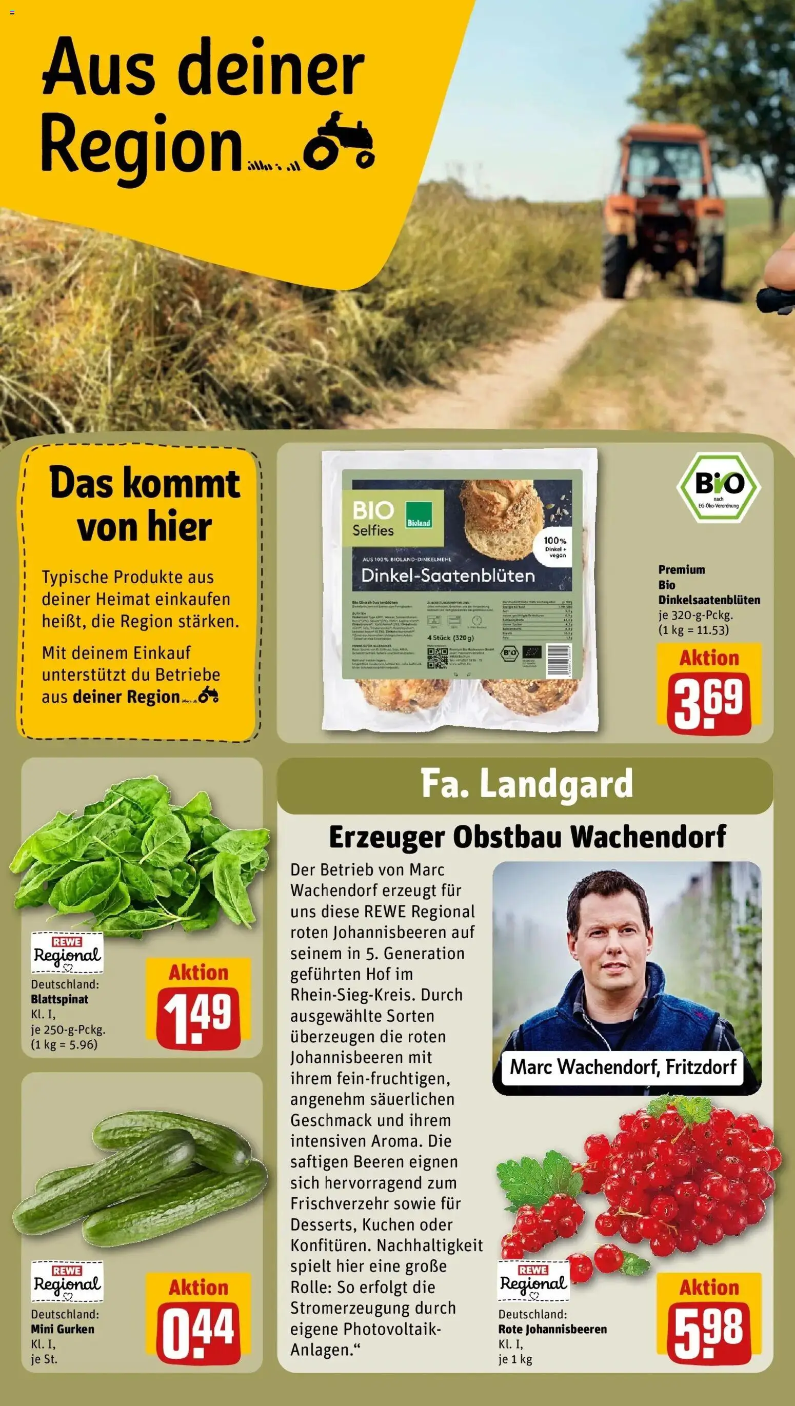 Rewe Prospekt Betzdorf – gültig ab 27.07.2026 | Seite: 24 | Produkte: Kuchen, Gurken