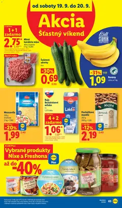 Lidl leták platný od 14.09.2026 | Strana: 101