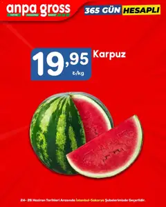 24 Haziran 2026 tarihinden itibaren geçerli olan Anpa Gross kataloğu önizlemesi