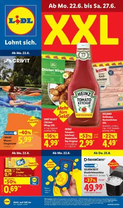 Lidl Prospekt Hof-innenstadt ab 21.06.2026 gültig