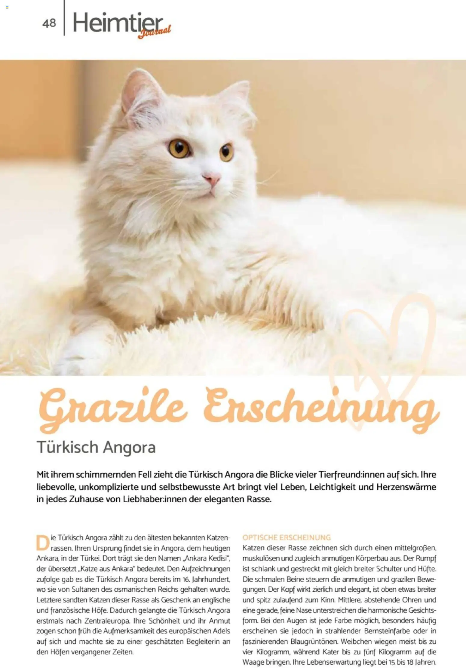 zookauf Heimtier Journal – gültig ab 01.07.2026 | Seite: 48