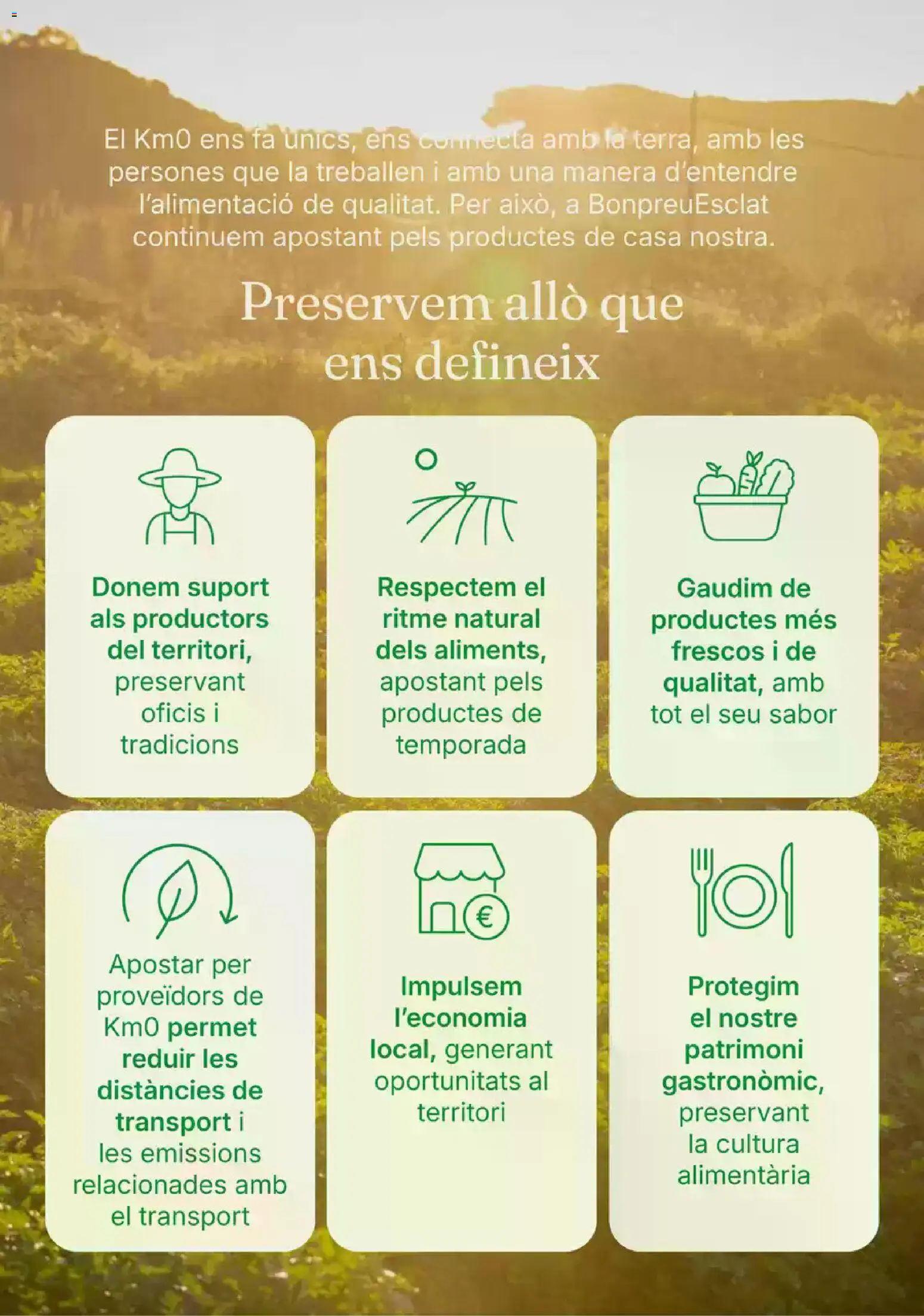 Bonpreu folleto │ válido desde el 15/10/2026 | Página: 3