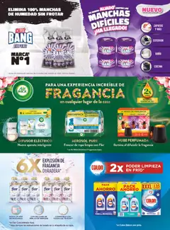 Vista previa Costco catálogo válido desde el 19.03.2026 | Página: 164 | Productos: Perfume, Fragancia, Ropa, Cocina