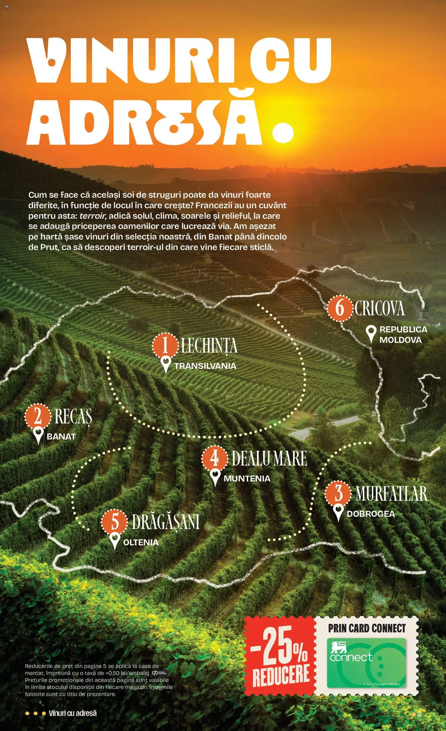 Noul catalog Mega Image – valabil de la 15.10.2026 | Pagină: 4 | Produse: Struguri, Aplică
