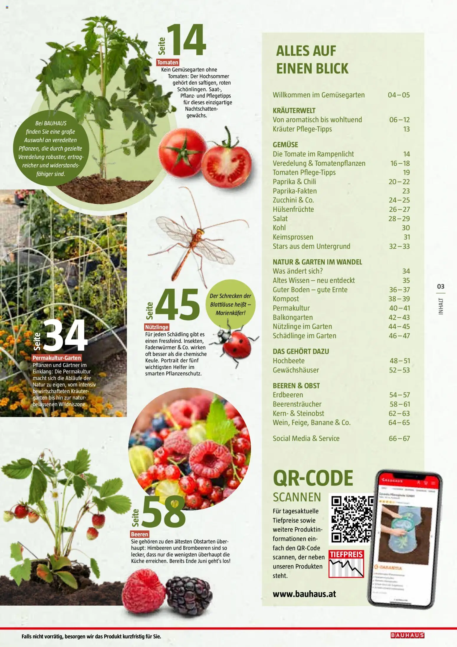 Bauhaus Reiche Ernte gültig ab 25.05.2026 | Seite: 3 | Produkte: Erdbeeren, Gemüse, Chili, Tomaten