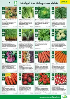 Landi ( Deaktivovane pre Letakomat )  Aktionen ab 07.01.2026 gültig | Seite: 5 | Produkte: Karotte, Gemüse, Kraut, Salat