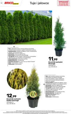 Pogląd oferty "Brico Marché gazetka - Jesienne Inspiracje" - ważna od 17.08.2026 | Strona: 56