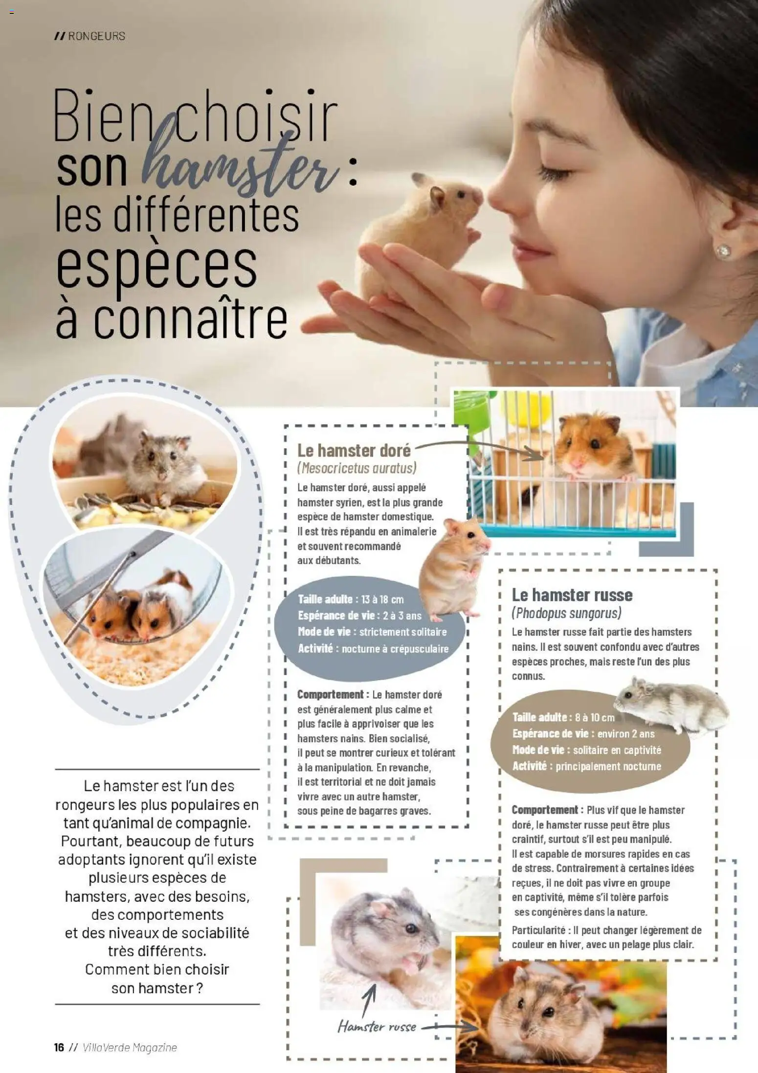 {H1} | Page: 16 | Produits: Mais, Magazine
