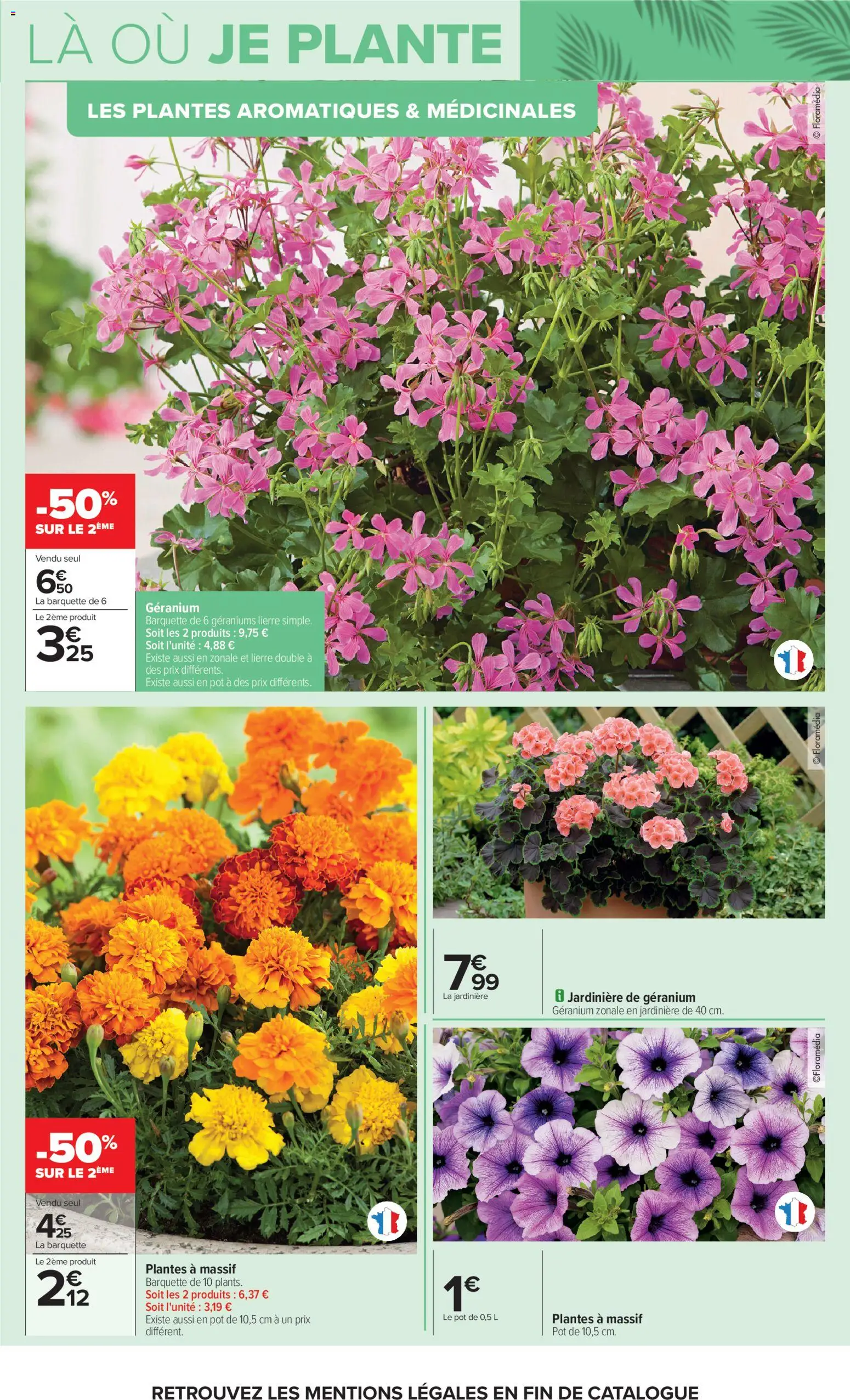 {H1} | Page: 5 | Produits: Plantes, Jardinière, Géranium